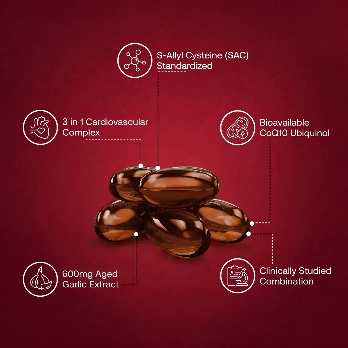 Aged garlic and CoQ10 ingredient pathways