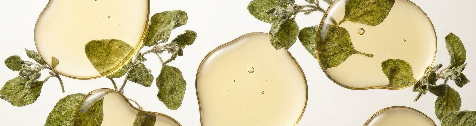Oregano leaves suspended in golden botanical oil