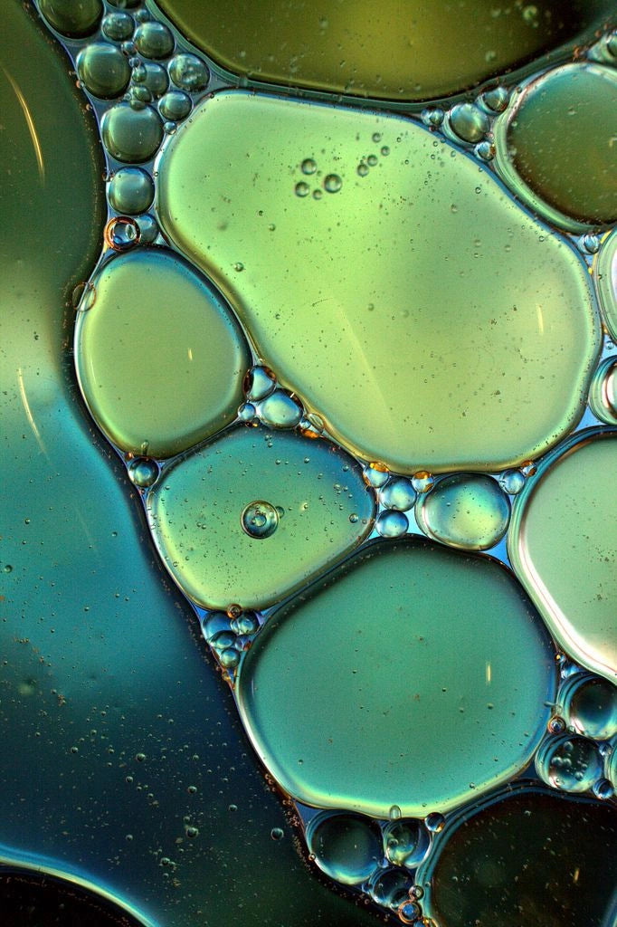 Black seed oil highlighting thymoquinone
