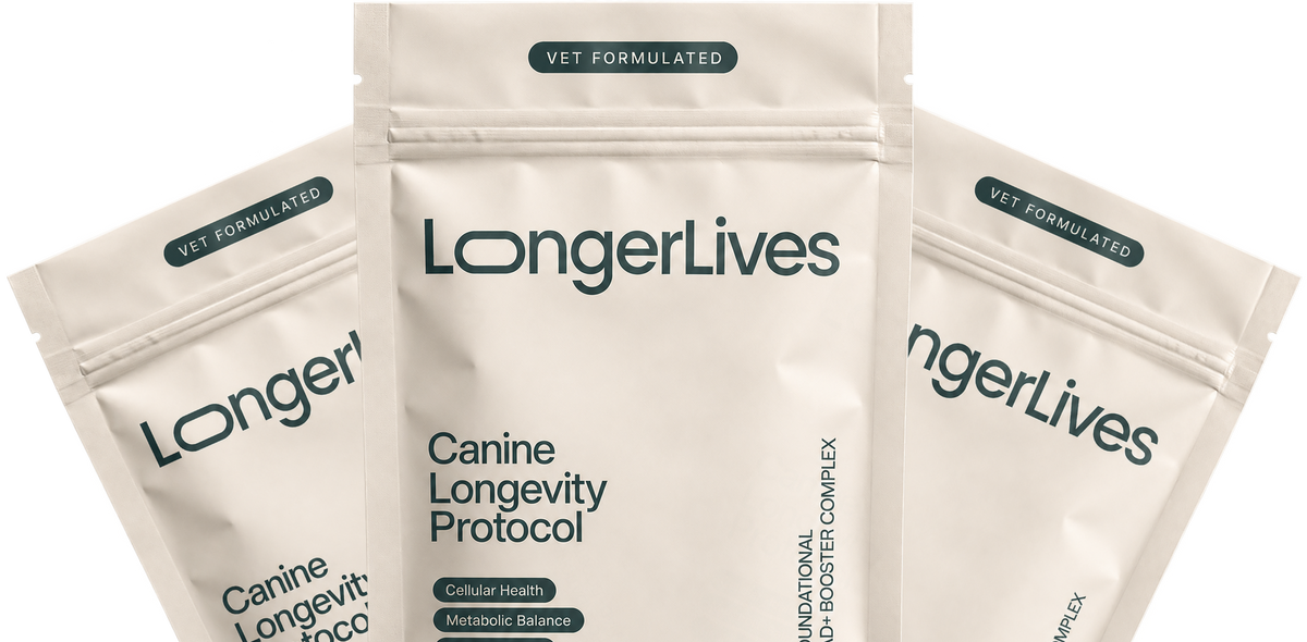 Three Resilia Oil of Oregano pouches