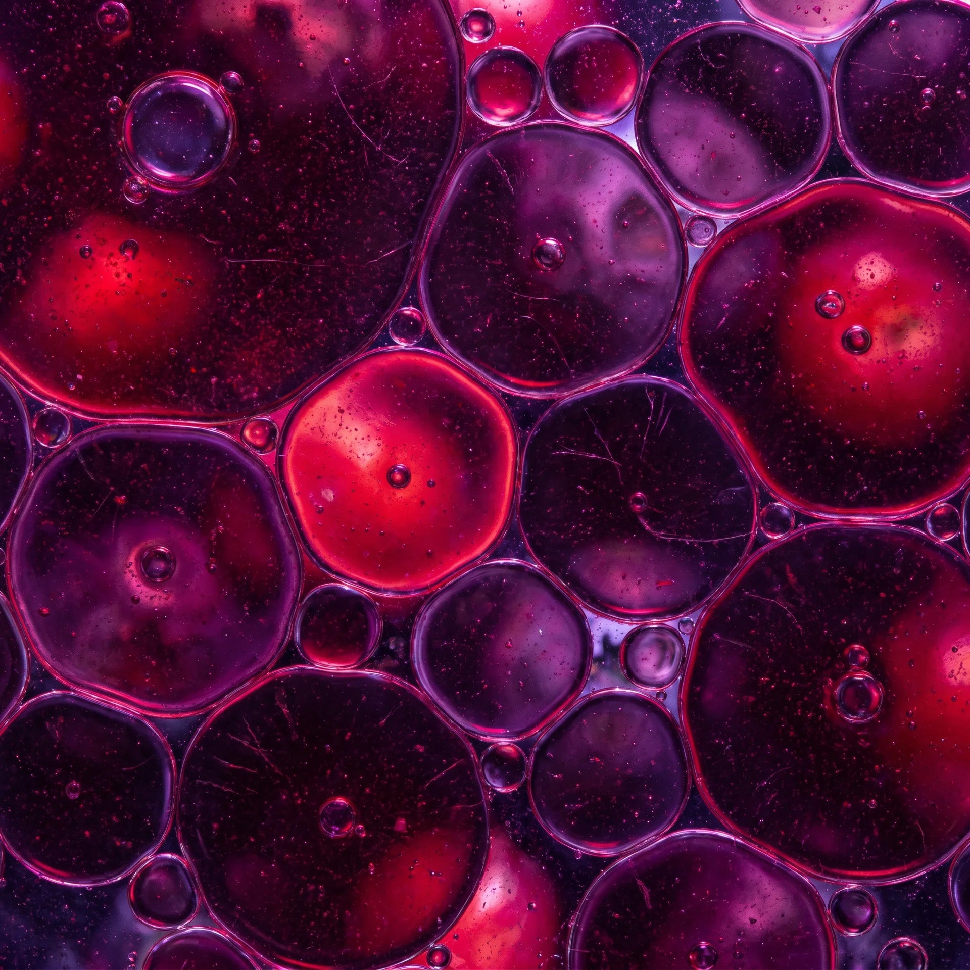 Antioxidant compounds in Ethiopian black seed oil