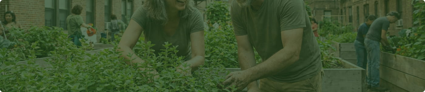 People tending a community garden
